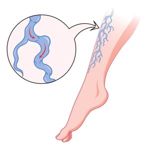 96a5079ecd296014b22f17508afdcf32