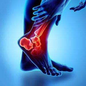 a1d785a929a76a15b359ff37cbb5d180