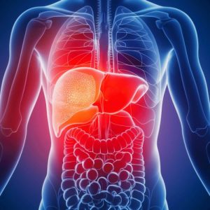 d810dd4aded33c76bf45e728521e6d47